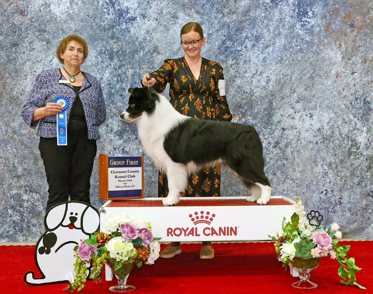 Fig’s Group First win at Clermont County Kennel Club