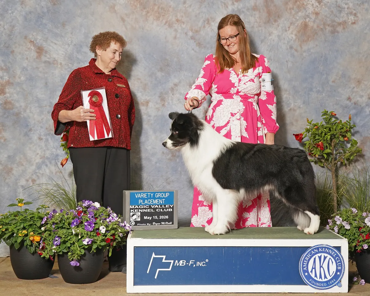 May 15, 2026 · Magic Valley Kennel Club · Group placement