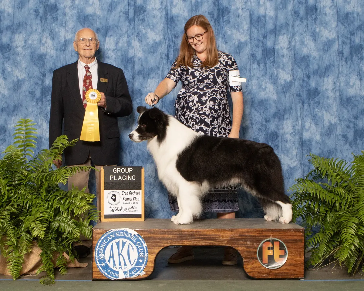 August 1, 2026 · Crab Orchard Kennel Club · Group placement