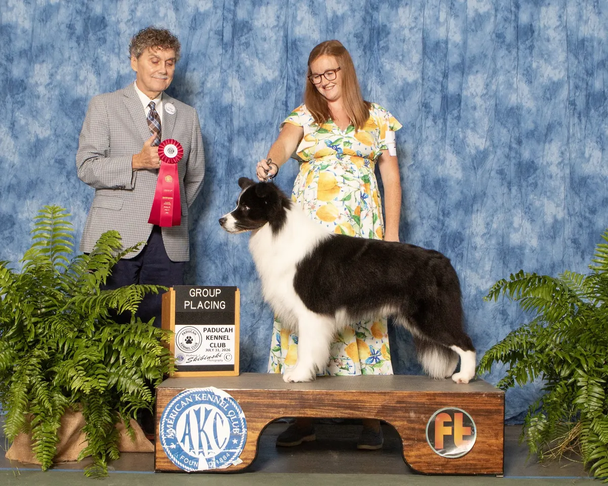 July 31, 2026 · Paducah Kennel Club · Group placement