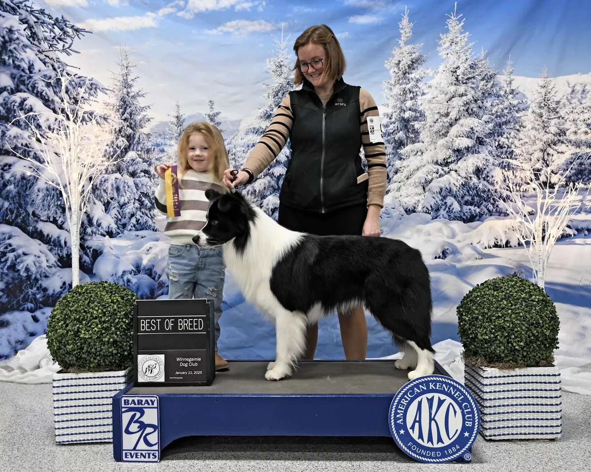January 11, 2025 · Winnegamie Dog Club · Best of Breed